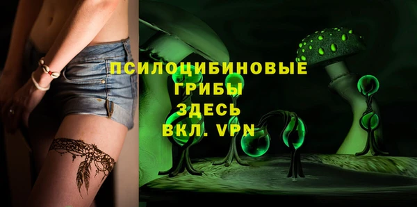 эйфоретик Нефтекумск