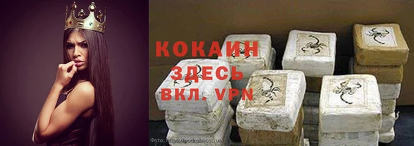 шишки Алексеевка