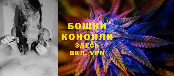 шишки Алексеевка